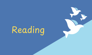 Reading